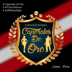 MIX Caporales de Oro 2018 - Dj Charly (Finalisima)