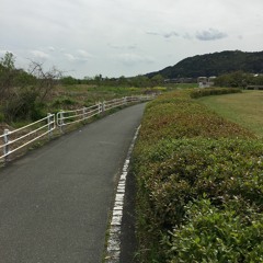 어른