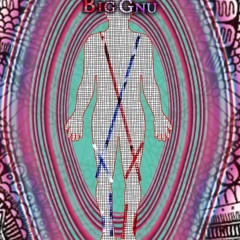 The Warmth by Incubus (Bassthulu/Big Gnu/ White Knight Instrumental Remix)