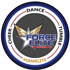 Force Elite Platinum 2019