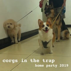 Corgs in the Trap: Home Party 2019