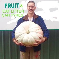 Cat Litter