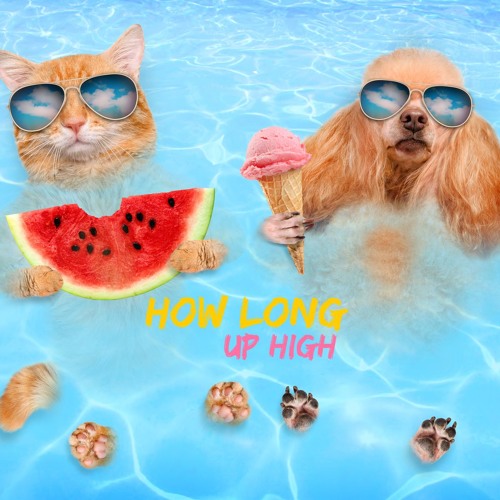 How Long (Original Mix)