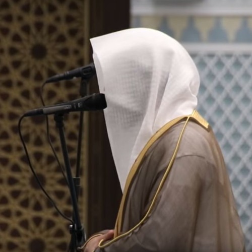 وَلَقَدْ آتَيْنَا دَاوُودَ مِنَّا فَضْلًا ۖ  الشيخ ناصر القطامي