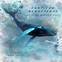 CANTICUM MEGAPTERAE - Song of the Humpback Whale