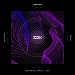 Techno(Peak Time/Driving)