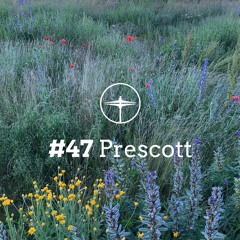 Appreciation Mix #47: Prescott