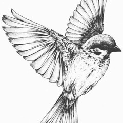 Flower In The Gutter