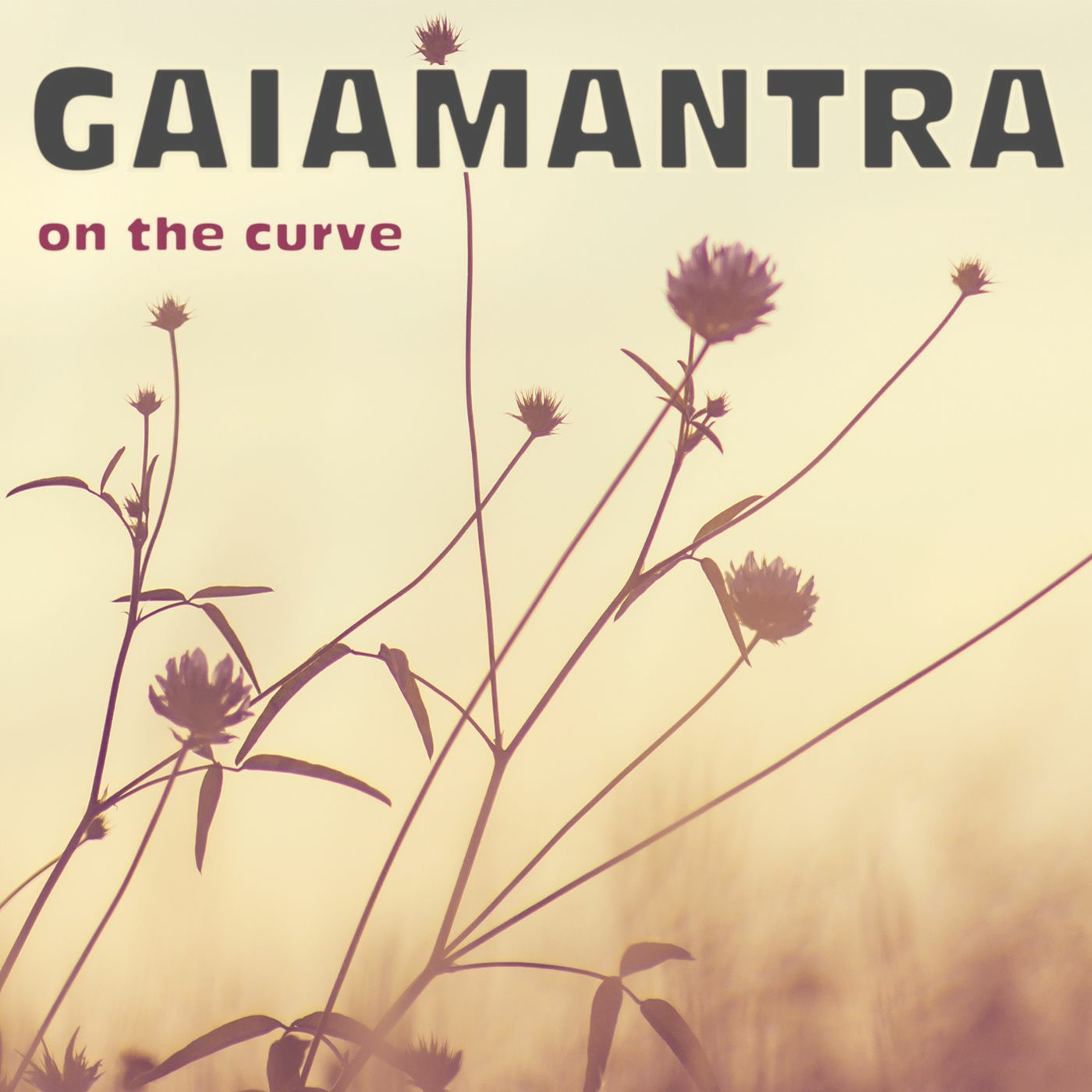 Gaiamantra - In Your Mind episode artwork