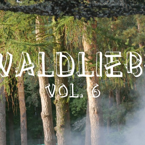 Waldliebe Open Air 2019