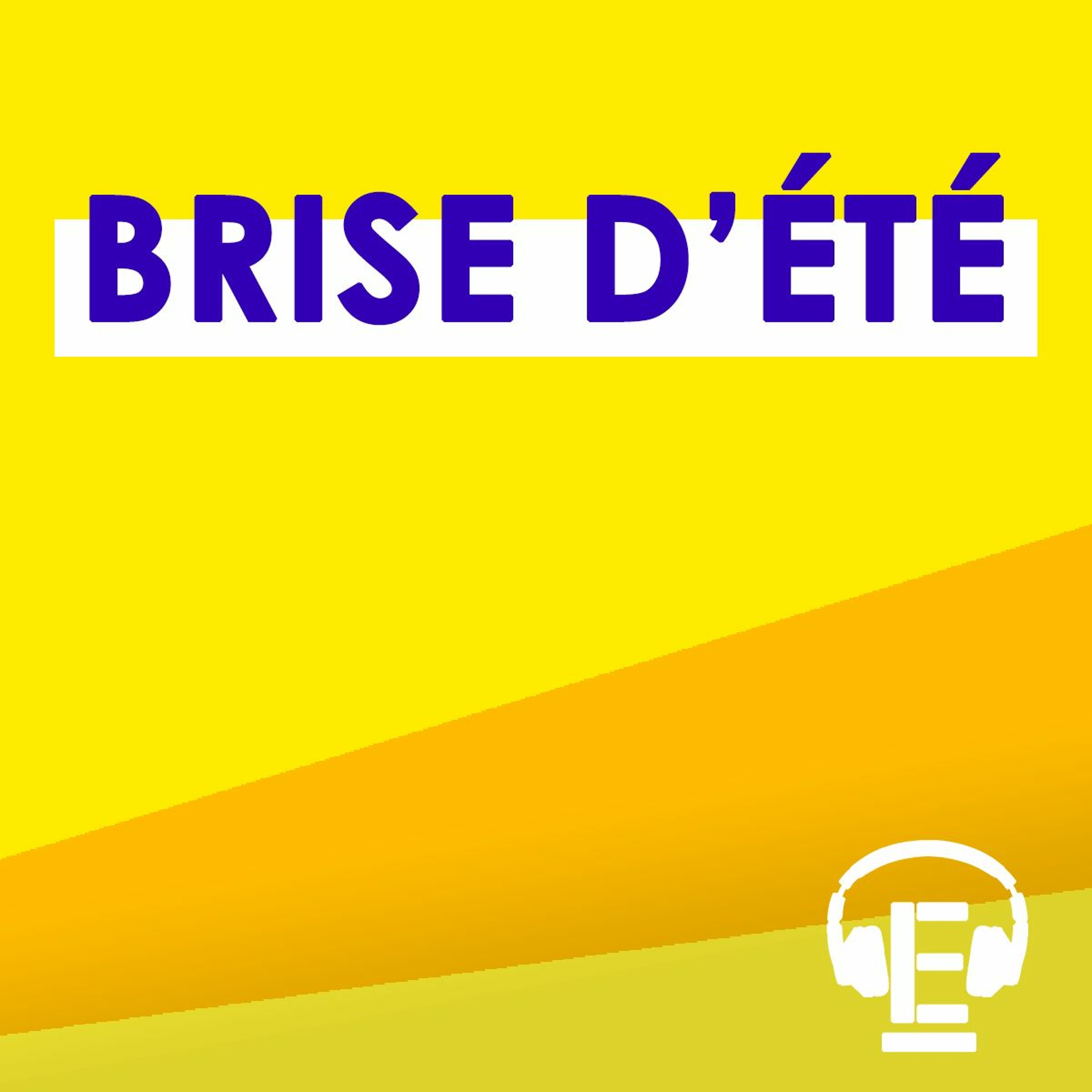 Les engagés publics