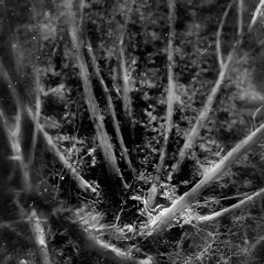 Those Fridays Will Give You A Headache - July '19