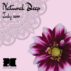 NaturalDeepJuly2019