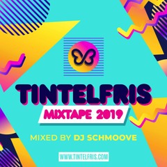 Tintelfris Summer19 Mixtape (Mixed By Schmoove)