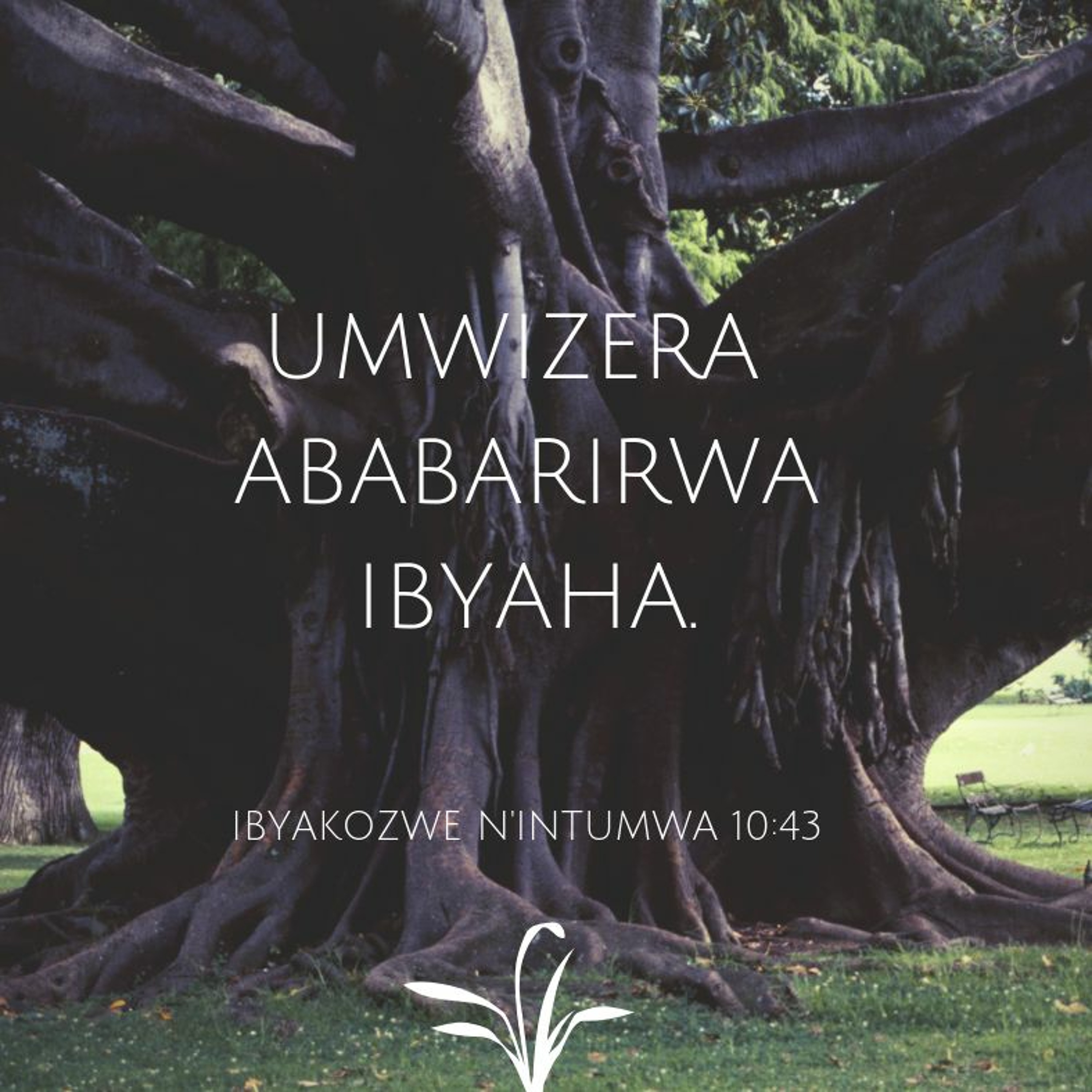 Kubabarirwa Ibyaha - Amahame Shingiro y'Ubukristu 3 (Forgiveness of Sins) episode artwork