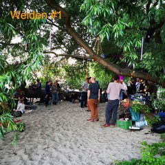 Erwachung Bei Den Weiden