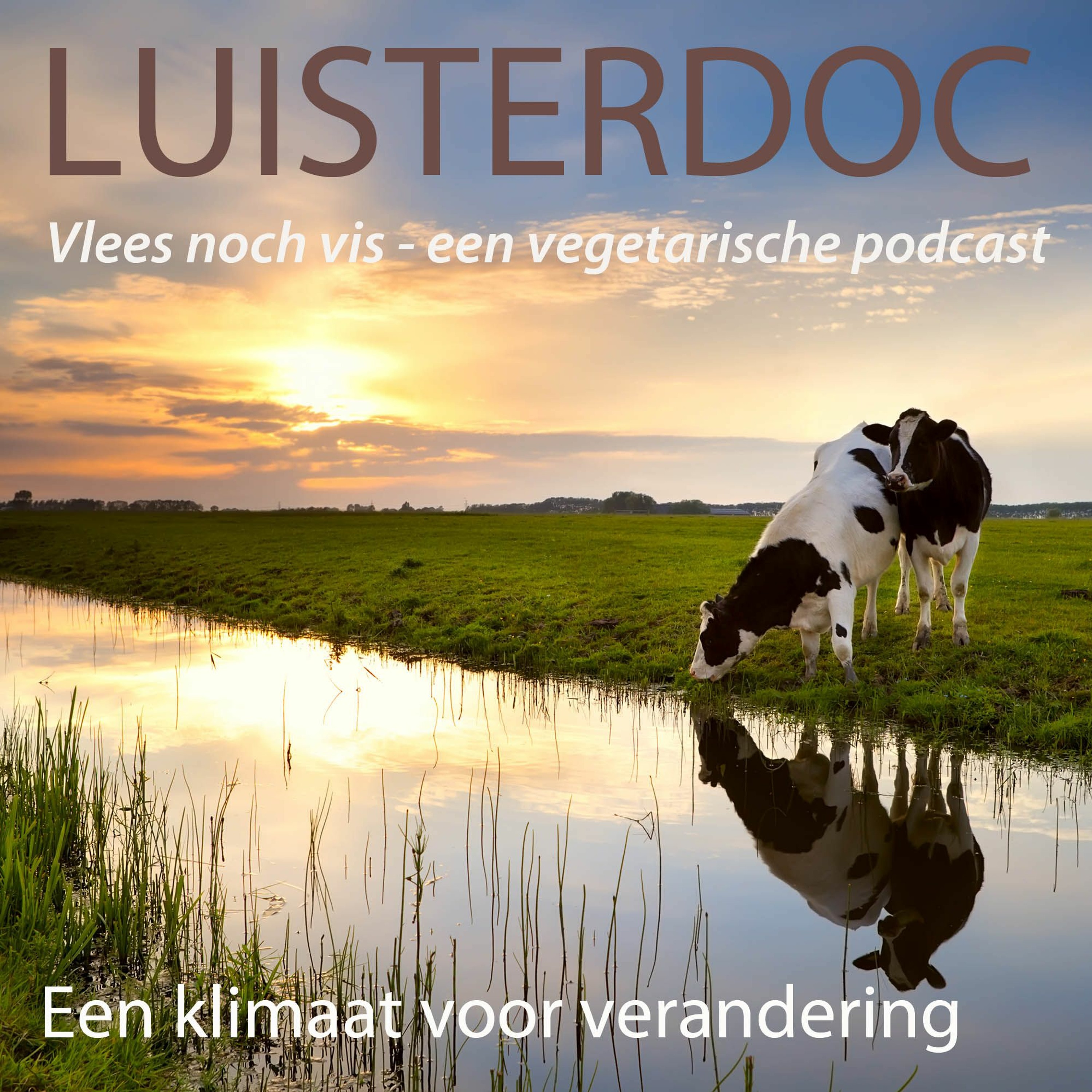 Luisterdoc