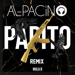 MULA B - PAPiTO (AL - PACiNO RMX)