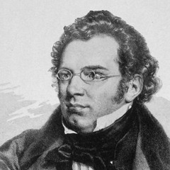 Schubert Au Coin De La Rue