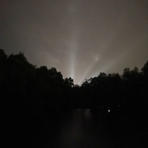 Inner-city Walks Mix #12