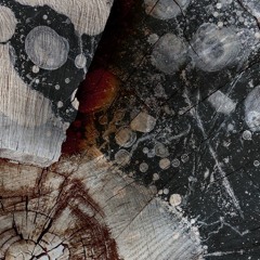 Set at LOG 004 - Prisma - Sevilla