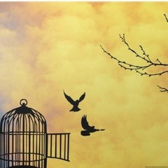 Acılara tutunmak (Ukulele Cover)