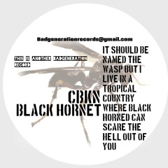 CBKN - Black Hornet (Original Mix).wav