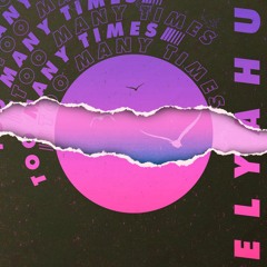 Too Many Times (prod. Young Kippur)