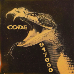 Code 917050