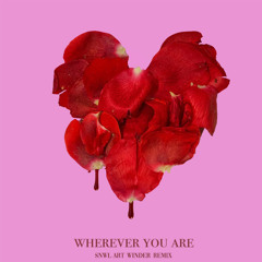 Adam & Steve - Wherever You Are (SNWL & Art Winder Remix)