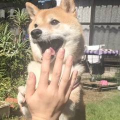 holy heck a new dubstep set but wait there's more