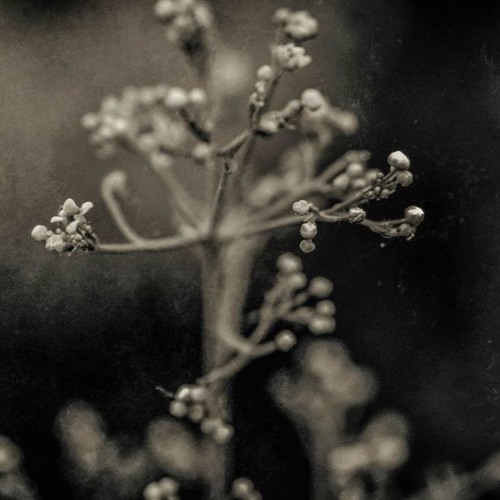 Alexei B - In the search