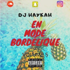 DJ HAYKAH - EN MODE BORDÉLIQUE VOL.5