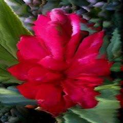 + ILLA UMA + QUERER PAGANO MIX +