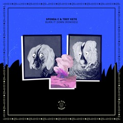 Spenda C Ft. Troy Kete - Burn It Down (Chris Royal Remix)