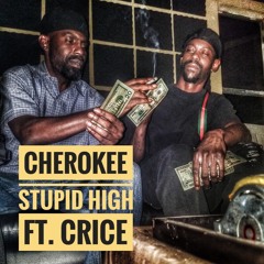 Stupid High