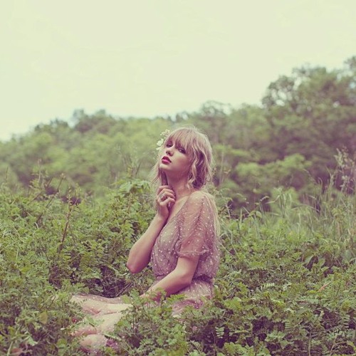 All Too Well (Taylor Swift cover)