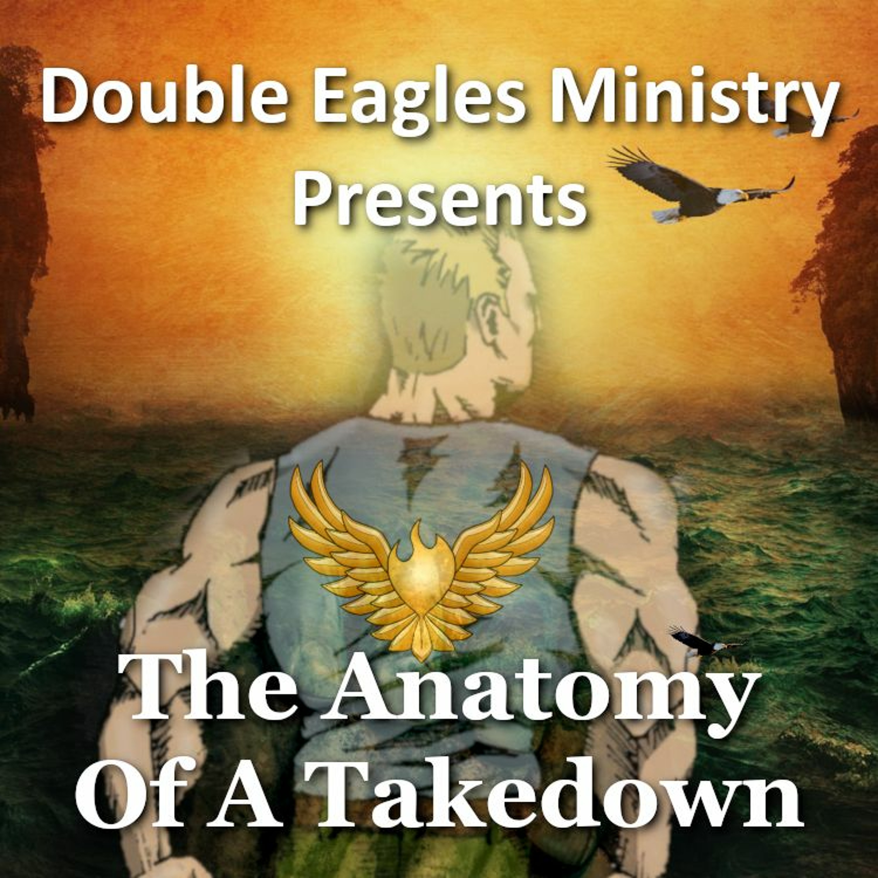 The Anatomy of a Takedown episode artwork