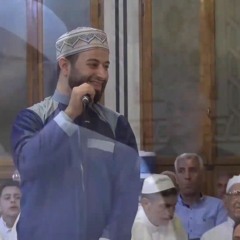 وديلي سلامي - المنشد أ.محمد برنية - جلسة الأنوار