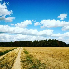 "Determination" (E-Drums & EHX MonoBassSynth) by Karli