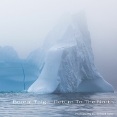 Boreal Taiga