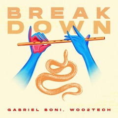Gabriel Boni, Woo2Tech - Break Down (Original Mix)
