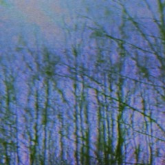 stay out of the deep end