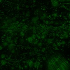 3-4-2015 Reworked 5-31-2017