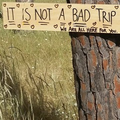 Orange Mouse - It is not a bad trip