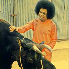 Mathuradhipatey Krishna mukundha - Sanjeev Borbora