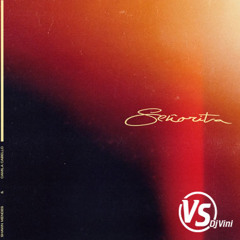 Shawn Mendes, Camila Cabello  Señorita ( Dj Vini  Bachata Remix )