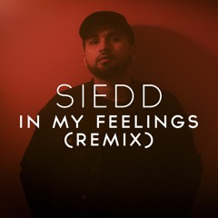 siedd