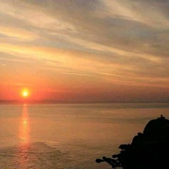 Tâm Sự - Từ Bỉnh Long - 心事 - 徐秉龙