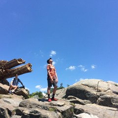 Live from the Lilypad